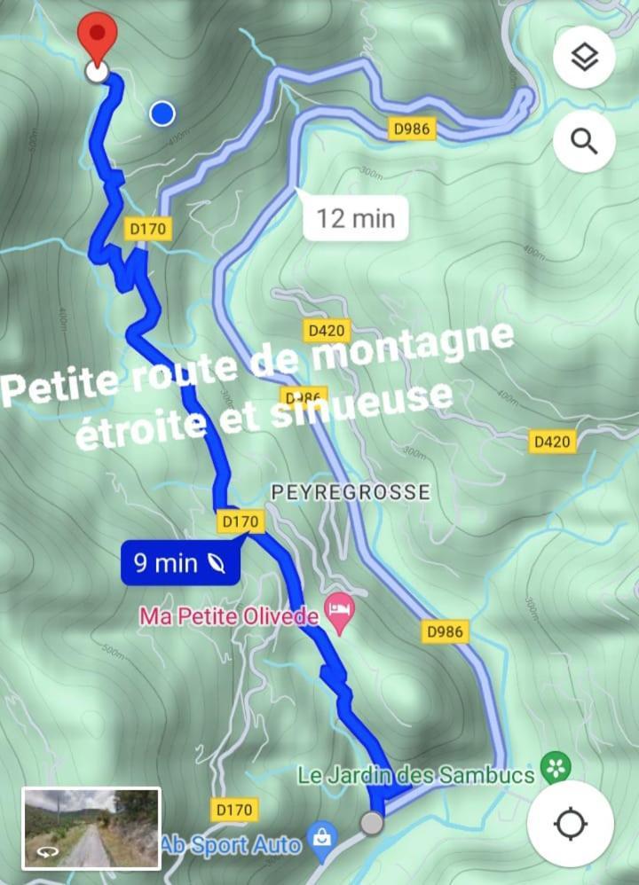 Le Puech, Chambre D'Hotes En Cevennes Saint-André-de-Majencoules Zewnętrze zdjęcie